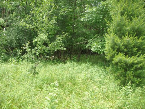 Lot 12, 4th Add. Margaret Lane, Park Falls, WI, 54552 | Card Image