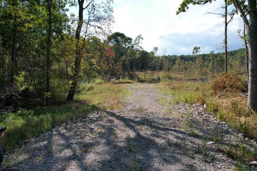 1-3 998 Hanlin Road, Bruceton Mills, WV, 26525 | Card Image
