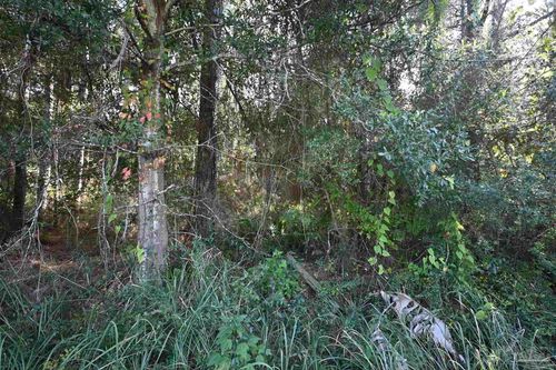 6421 Michigan Ave, Milton, FL, 32583-7364 | Card Image