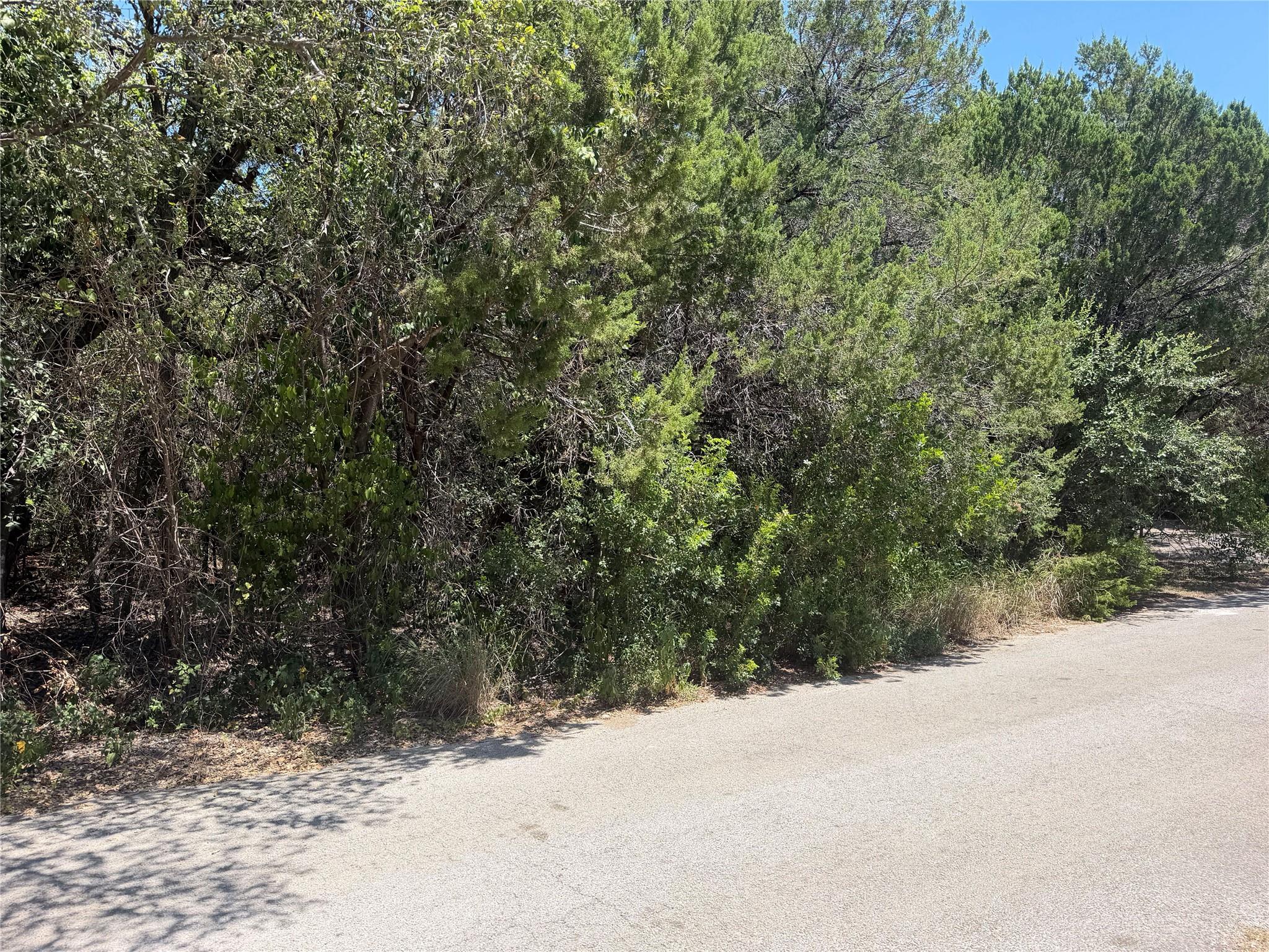 Land in Austin 3