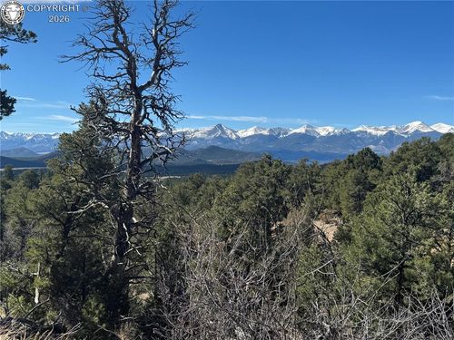 1214 Kevin Dr, Cotopaxi, CO, 81223 | Card Image