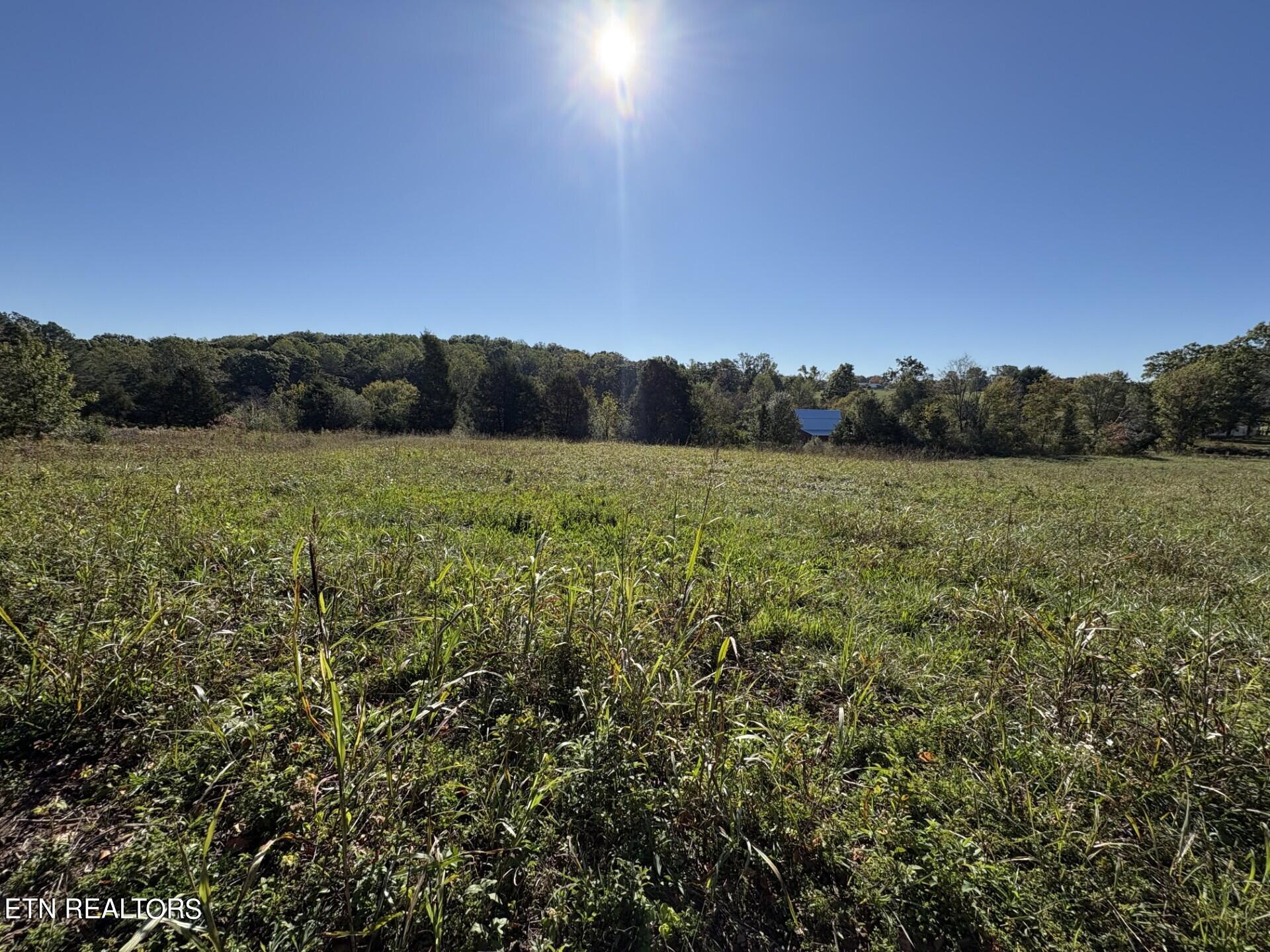 166 Copenhaver Rd Rd, For Sale in Lenoir City Zoocasa