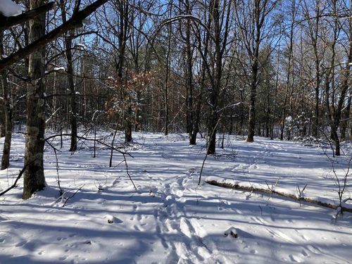 6536 Akron Avenue, ALMOND, WI, 54966 | Card Image