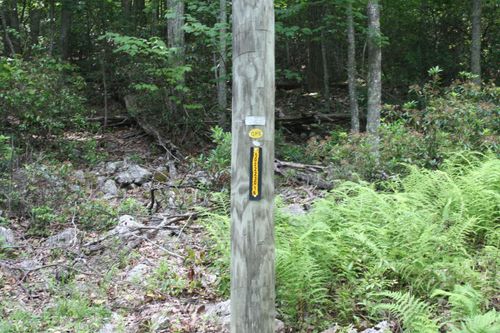 52 High Valley Dr S, MONTEREY, VA, 24465 | Card Image