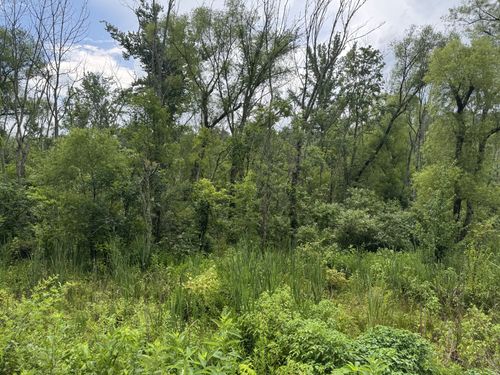 0 Factory Creek Rd, Ethridge, TN, 38456 | Card Image