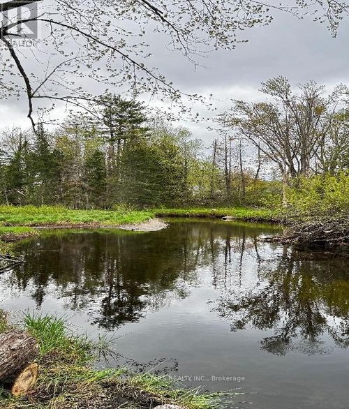 2348 Northey'S Bay Rd, North Kawartha, ON, K0L2H0 | Card Image