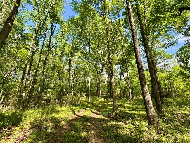 0 Ga Highway 87, Home with 0 bedrooms, 0 bathrooms and null parking in Juliette GA | Image 22