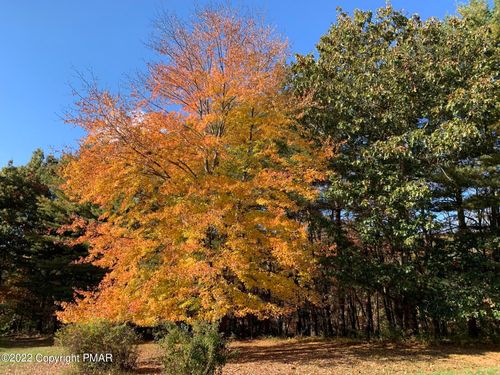 4 Jackson Road, Reeders, PA, 18352 | Card Image