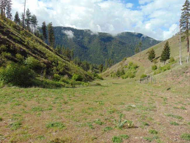 27235 Lazy Springs Rd, Home with 0 bedrooms, 0 bathrooms and null parking in Clinton MT | Image 62
