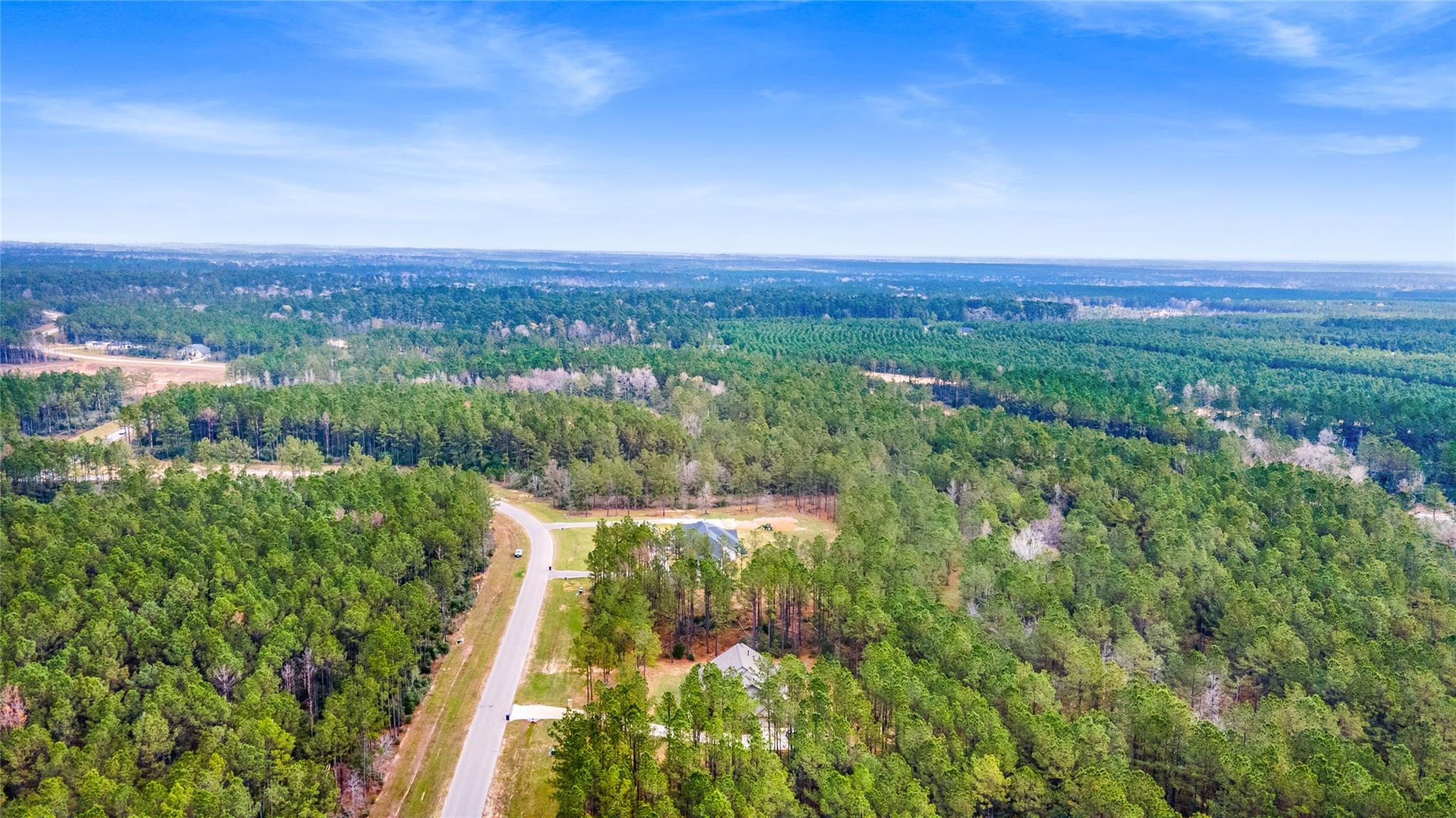 Land in Willis 4