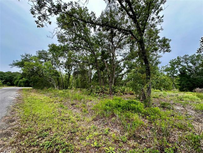 Lot 2 Guava Pl, Home with 0 bedrooms, 0 bathrooms and null parking in Ocklawaha FL | Image 1