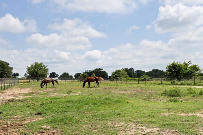 6111 Wild Cat Knob Rd, House other with 4 bedrooms, 3 bathrooms and null parking in Tolar TX | Image 24