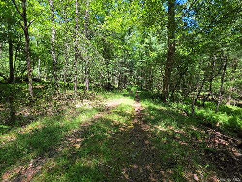Lot #7 Camp Kenny Brook Road, Thompson, NY, 12701 | Card Image