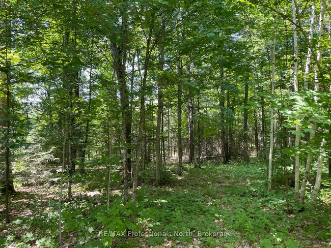 0 Glamor Lake Rd, Home with 0 bedrooms, 0 bathrooms and null parking in Gooderham ON | Image 6