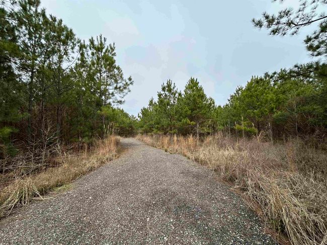 435 Gore Store Rd, Home with 0 bedrooms, 0 bathrooms and null parking in Warren TX | Image 6