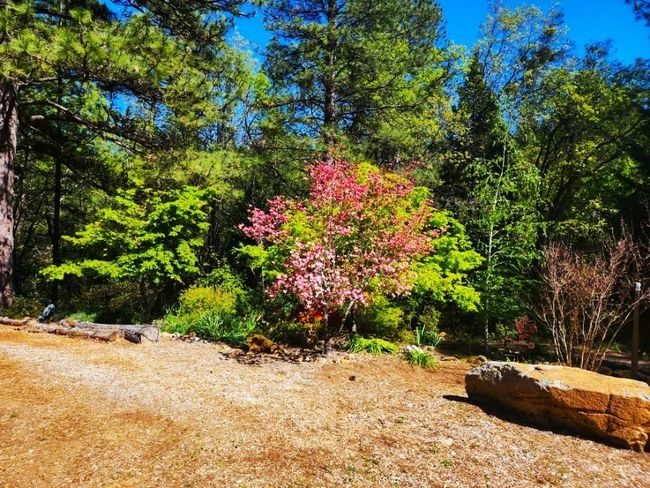 955 Grinding Rock Ct, House other with 3 bedrooms, 2 bathrooms and null parking in West Point CA | Image 8