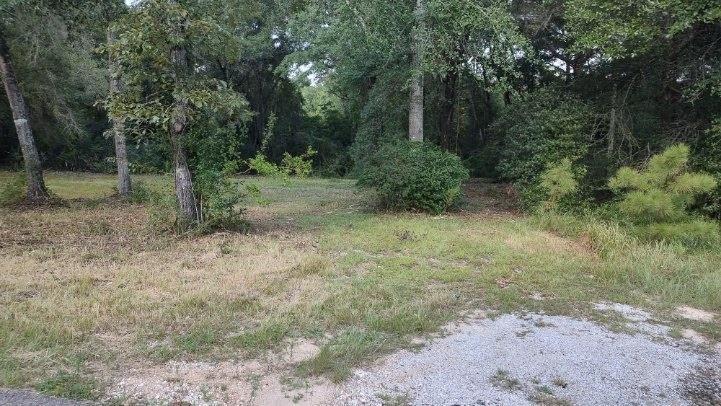 Land in Wilmer 3