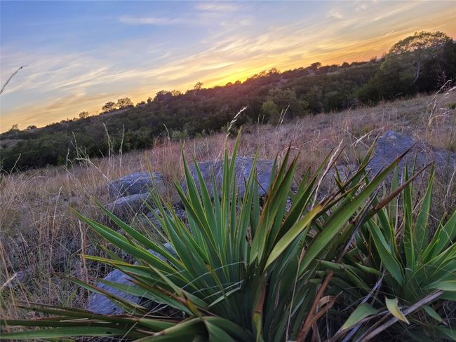 View of yard at dusk | Image 12
