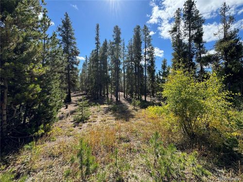 517 Augusta Dr, Leadville, CO, 80461-9408 | Card Image