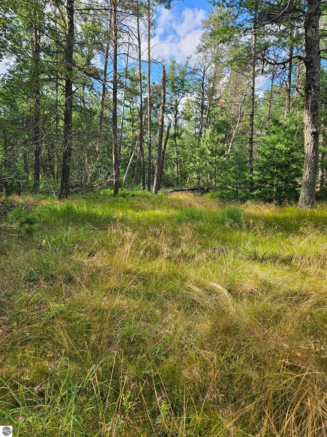 0 Vaughn Rd, Home with 0 bedrooms, 0 bathrooms and null parking in Hale MI | Image 12