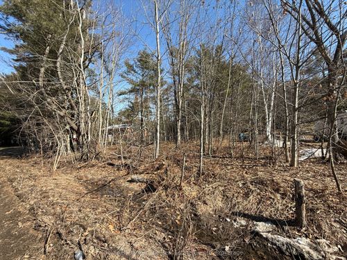 Vacant Lot Pinedale Road, Gravenhurst, ON, P1P1L5 | Card Image
