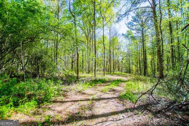 1975 Whooping Creek Rd, Home with 0 bedrooms, 0 bathrooms and null parking in Carrollton GA | Image 9