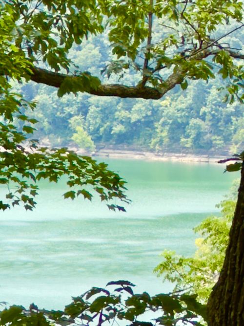 478 Eagles Bluff Rd, Monticello, KY, 42633-2887 | Card Image