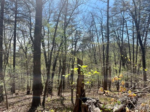 0 Pilgrim Church Road, Hiddenite, NC, 28636 | Card Image
