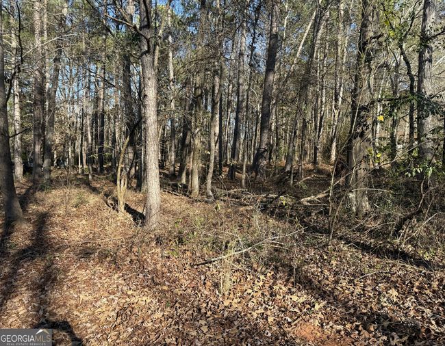 103 Cameron Pointe Dr, Home with 0 bedrooms, 0 bathrooms and null parking in Lagrange GA | Image 6