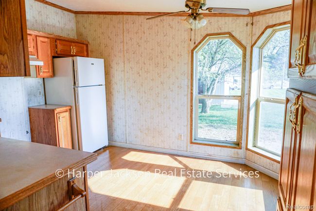 _DSC0464.jpg | Image 5