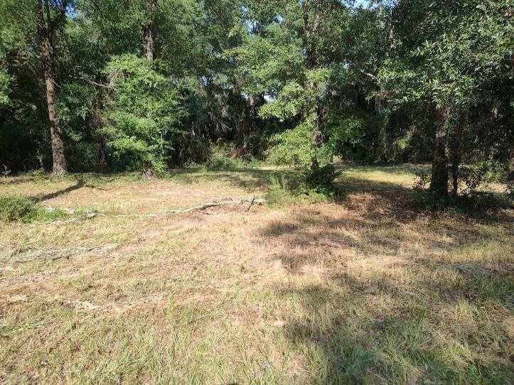 Land in Wilmer 2