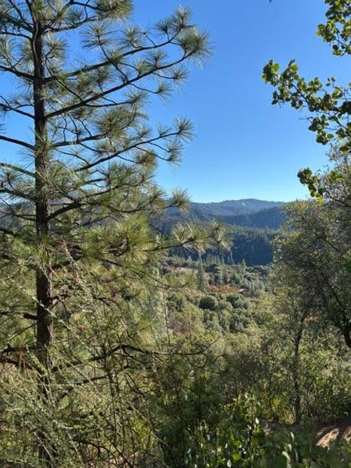 27447 W Laikam Lane, Columbia, CA, 95310 | Card Image