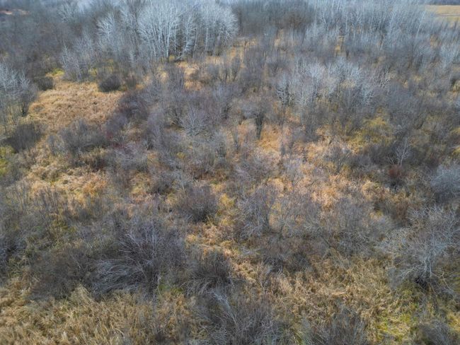 DJI_0404.JPG | Image 49