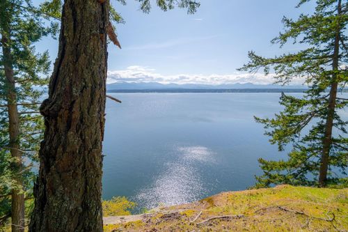 553 Flewett Dr, Decourcy Island, NL, A1A1A1 | Card Image