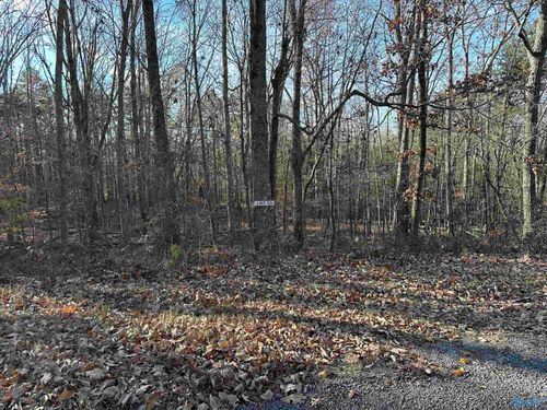 Lot 33 Woodfern Dr, Scottsboro, AL, 35768 | Card Image