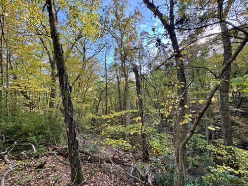 69 Moosehorn Rd, Roxbury, CT, 06783-1106 | Card Image