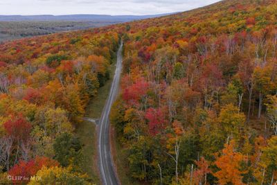 177 Cabin Mountain Road, Home with 0 bedrooms, 0 bathrooms and null parking in Davis WV | Image 3