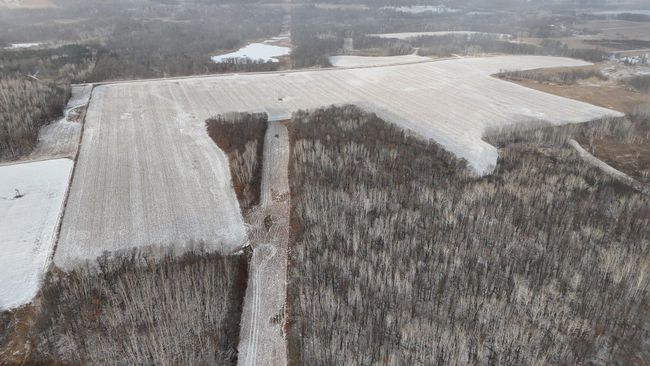 DJI_20241211150846_0402_D.JPG | Image 37