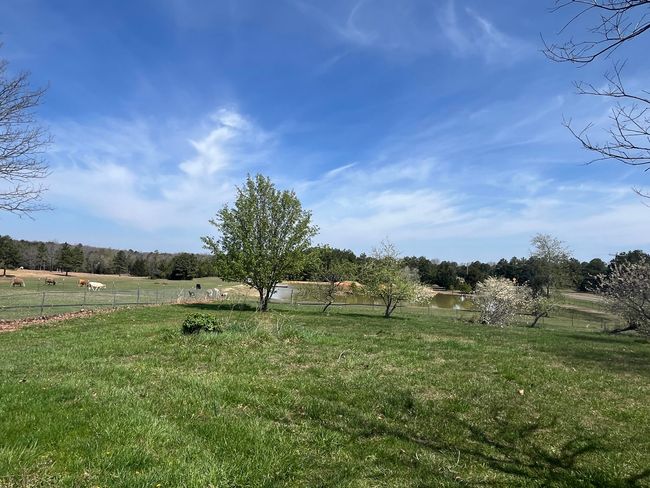 Field and pond | Image 24