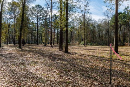 TBD (Lot 4) County Road 3545, Joaquin, TX, 75954 | Card Image