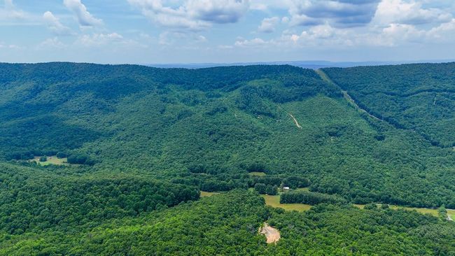 2486 Laurel Fork Rd, Home with 0 bedrooms, 0 bathrooms and null parking in Rocky Gap VA | Image 47