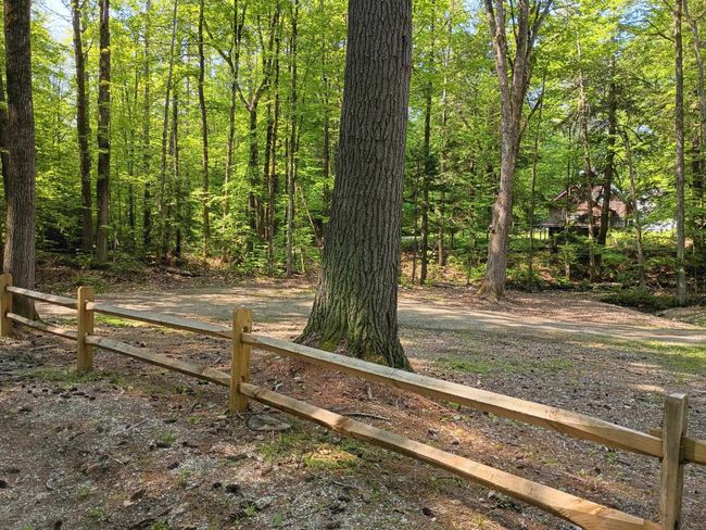 165 Kilton Pond Rd, Home with 0 bedrooms, 0 bathrooms and null parking in Grafton NH | Image 37