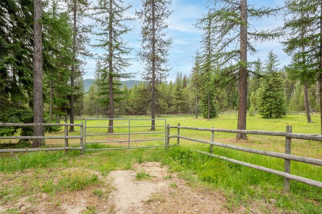 full rail fencing | Image 33