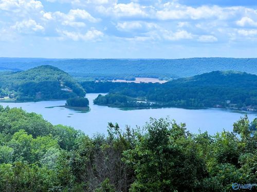 LOT 210 County Road 767, Cedar Bluff, AL, 35959-3211 | Card Image