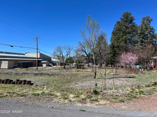 1448 S Adair Dr, Pinetop, AZ, 85935-7006 | Card Image