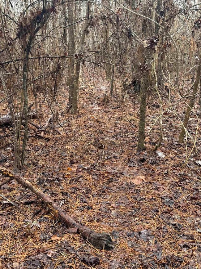 000 Ashley Road 912, Home with 0 bedrooms, 0 bathrooms and null parking in Hamburg AR | Image 42
