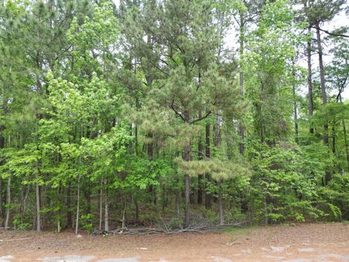 231 Morningside Drive, Saint Matthews, SC, 29135 | Card Image