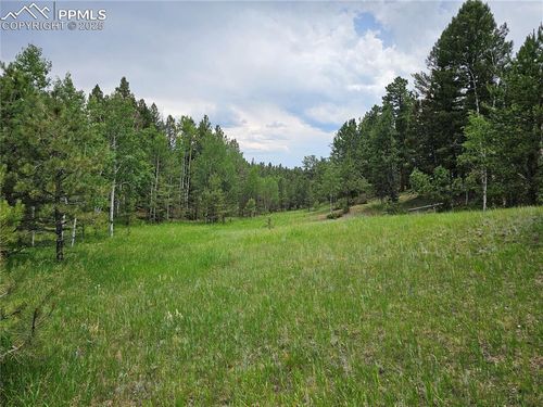 1694 County Road 512, Divide, CO, 80814-9734 | Card Image