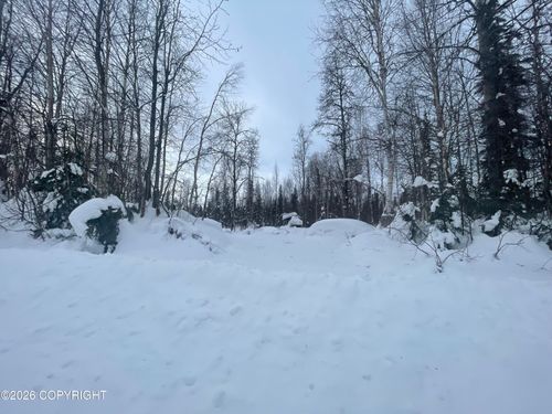 49376 S Cutthroat Dr, Willow, AK, 99688 | Card Image