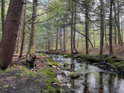 0 Bills Rd, West Wardsboro, VT, 05360 | Card Image